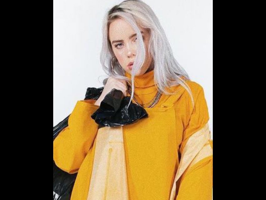 Transformasi Gaya Rambut dan Makeup Billie Eilish dari Awal Meniti ...